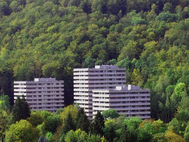 Waldoase I Inkl Sauna-Und Schwimmbadnutzung Bad Harzburg Dış mekan fotoğraf